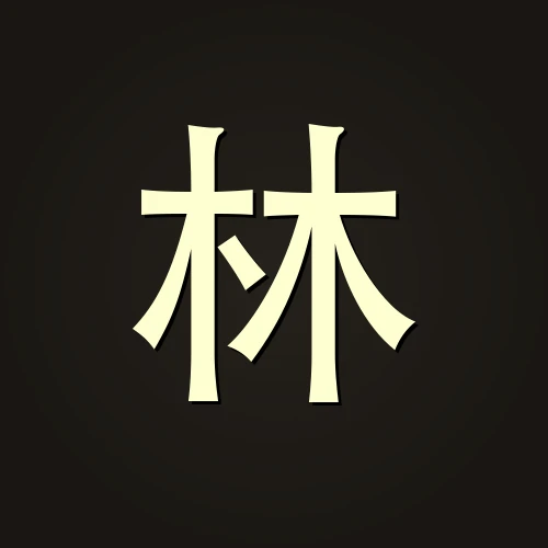 林启航 — AI 架构师 · 科技伦理倡导者