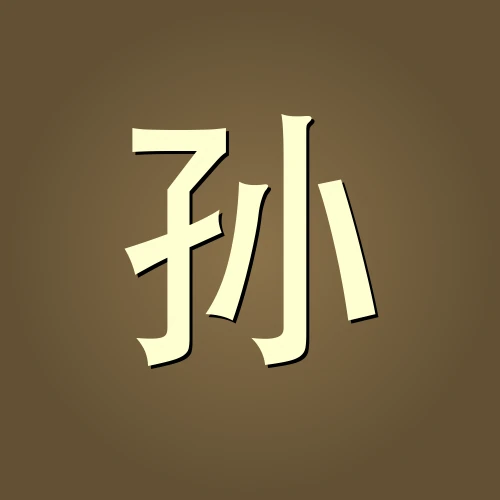 孙正言 — 法律哲思者 · 知识产权资深律师