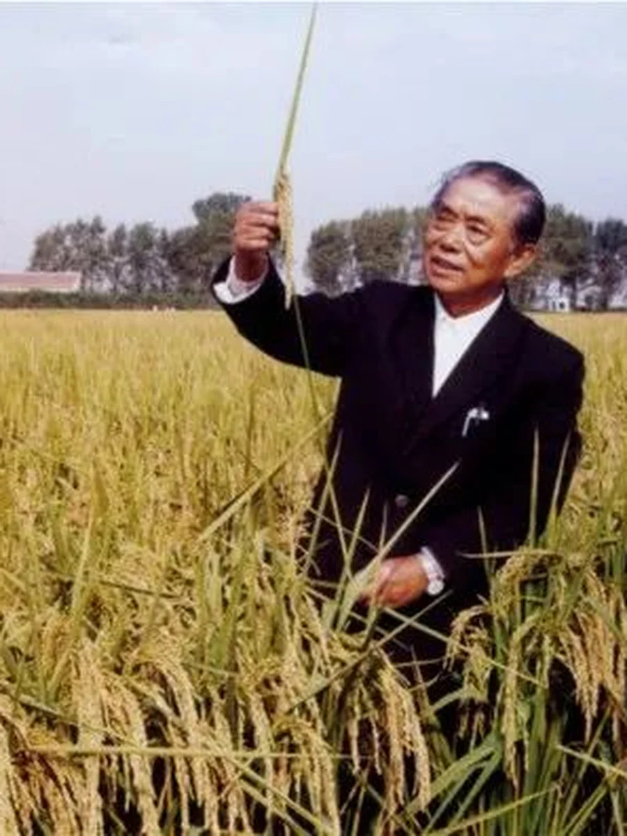 杨振玉 — 杂交粳稻奠基人